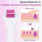 Derma Roller System 6-in-1 – Starter Kit