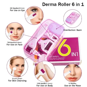 6 in 1 Derma Roller Kit